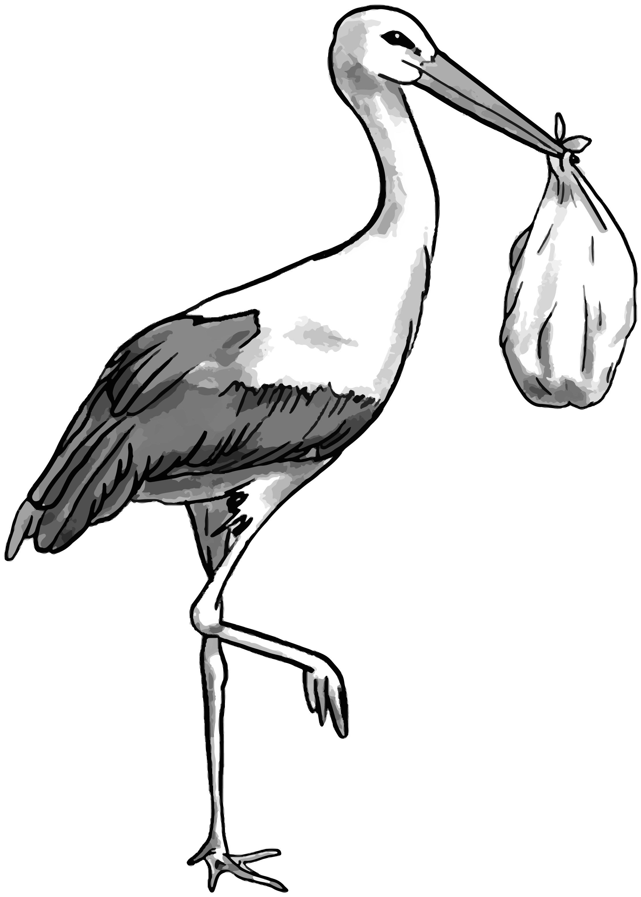 Stork with baby