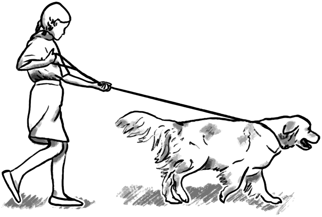 Dog walker
